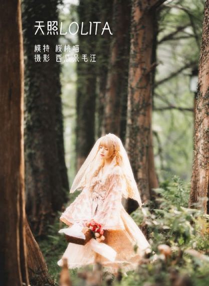 在线影视免费观看_1080手机在线观看